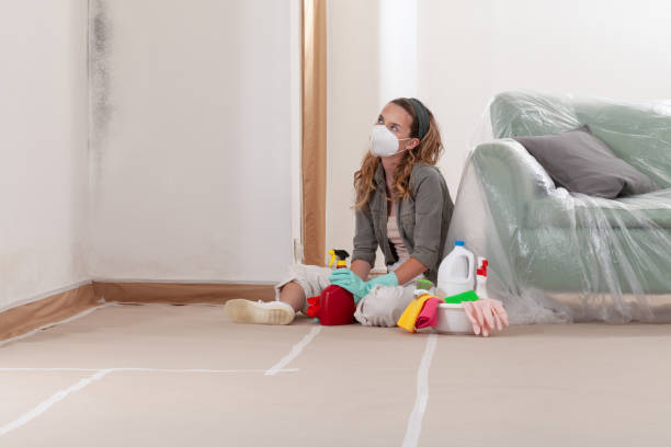 Reliable Mold Testing contractor in Cordova, MD by WQB Mold Removal